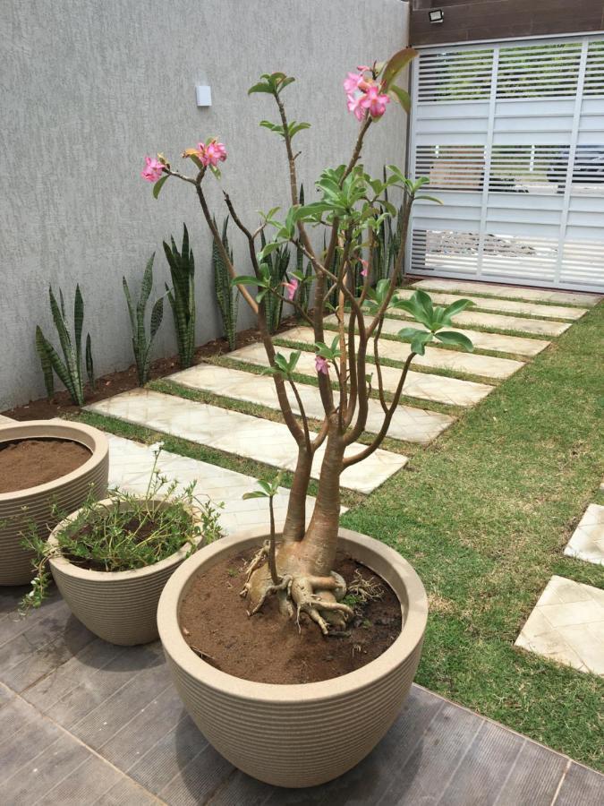 Casa de Praia Tamandare Tamandaré Exterior foto
